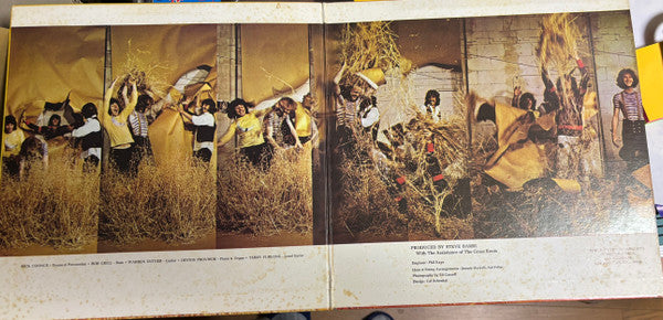 More Golden Grass