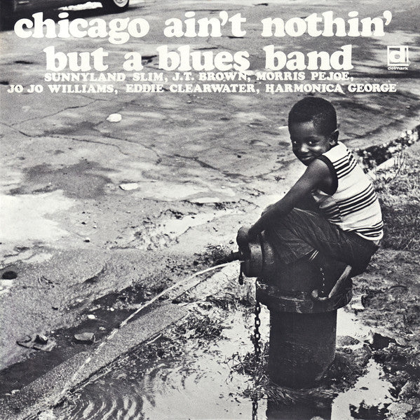 Chicago Ain't Nothin' But A Blues Band