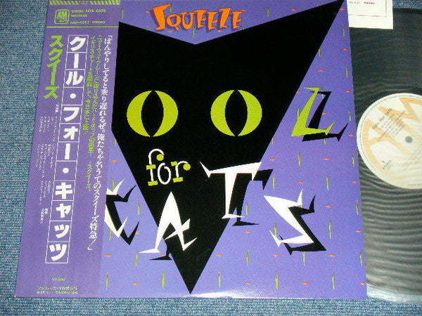 Cool For Cats