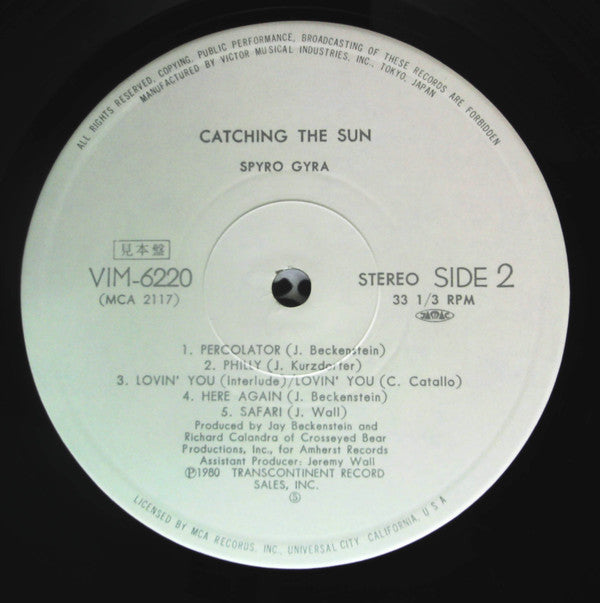 Catching The Sun