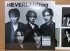 Neverland (21) - Neverlanding (Vinyl, LP) Very Good Plus (VG+) / Very Good Plus (VG+)