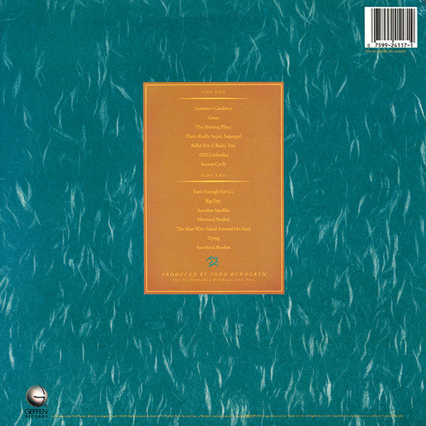 Master Release: Skylarking by XTC