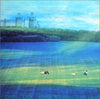 Rainbow (17) - Crystal Green (Vinyl, LP, Album)