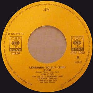Master Release: Learning To Fly by Pink Floyd