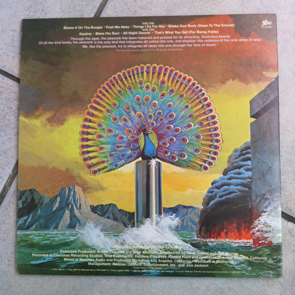 Release: Destiny-Vinyl-Japan-1980-25.3P-204, 25.3P-204-6973399