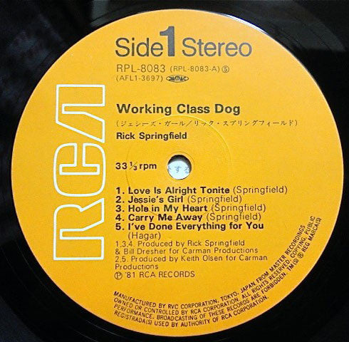 Working Class Dog