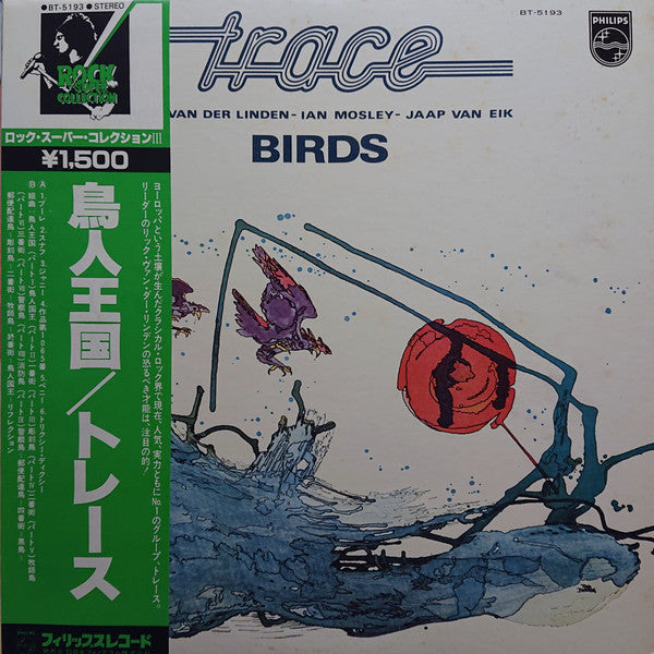 Birds