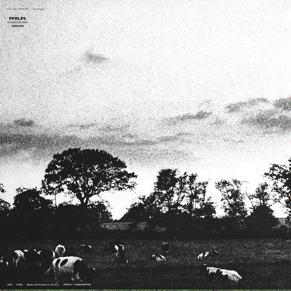 Release: Atom Heart Mother-Vinyl-Europe-2016-PFRLP5, 0190295997083-9063835