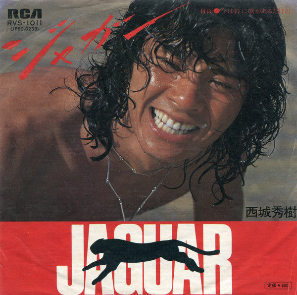 Release: Unknown Release-Vinyl-Japan-1976-RVS-1011, JPBO-0233-6747269