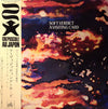 Soft Verdict - A Visiting Card = ア・ヴィジッティング・カード (Vinyl, 12