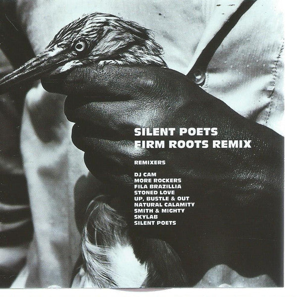Master Release: Firm Roots Remix by Silent Poets