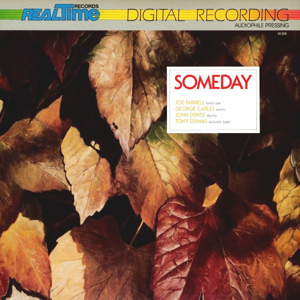 Release: Someday-Vinyl-Japan-1982-RT-308-5567557