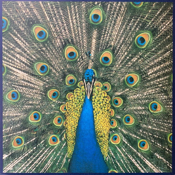 Release: Expecting To Fly-Vinyl-UK-1996-BLUELPG 004, BLUELP 004-2173231