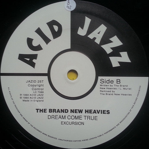 Dream Come True (Brand New Mix)