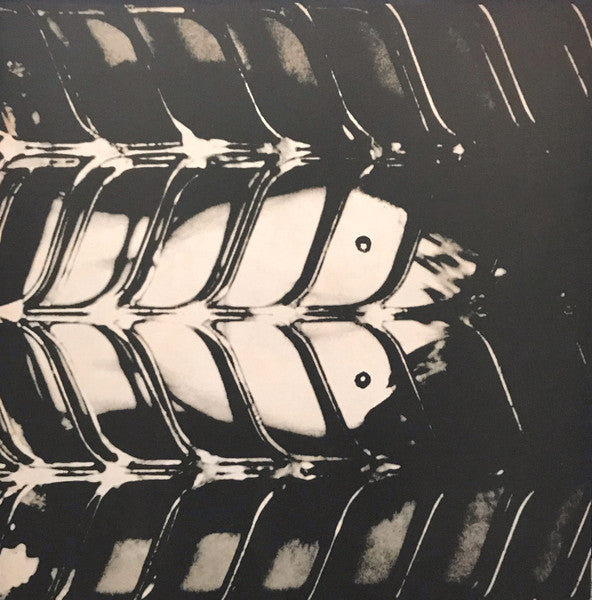 Fish Out Of Water