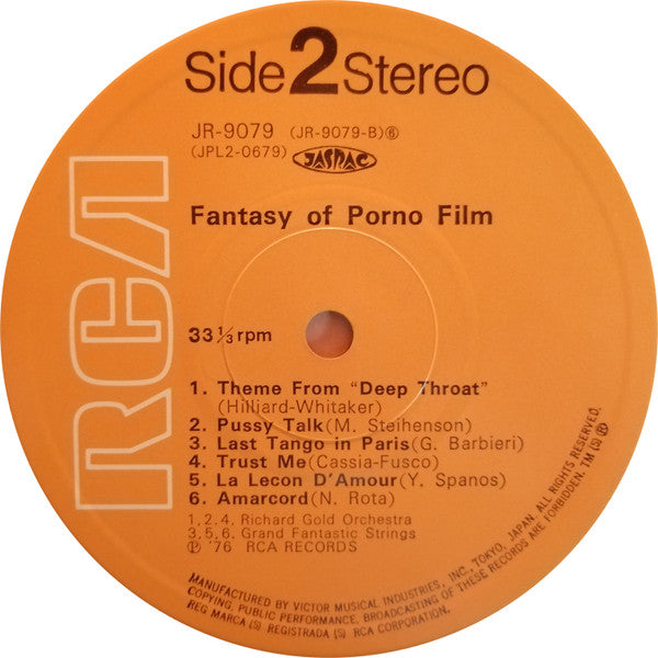 Fantasy Of Porno Film