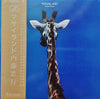 Tadayuki Naitoh - Masailand = マサイランド (Vinyl, LP, Album, Stereo) Very Good Plus (VG+) / Very Good Plus (VG+)