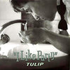 Tulip (2) - I Like Party (Vinyl, LP, Album, Stereo) Very Good Plus (VG+) / Very Good (VG)