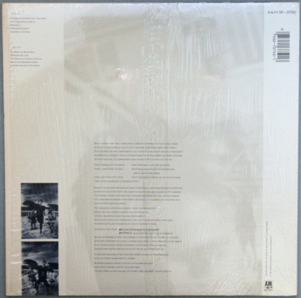 Release: The Dream Of The Blue Turtles-Vinyl-US-1985-SP-3750-13635070