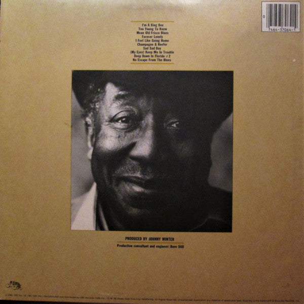 Release: King Bee-Vinyl-US-1981-PZ 37064-11076630