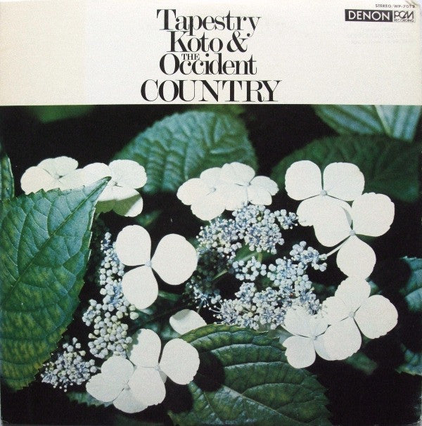 Master Release: Tapestry Koto & The Occident Country = 琴 里を詩う by Toshiko Yonekawa