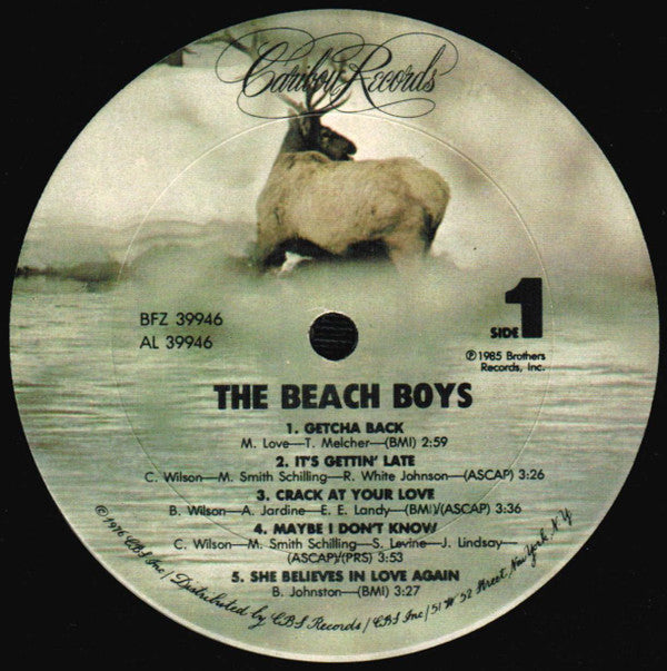 The Beach Boys