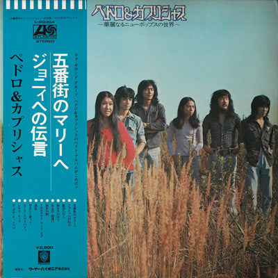 華麗なるニュー･ポップの世界