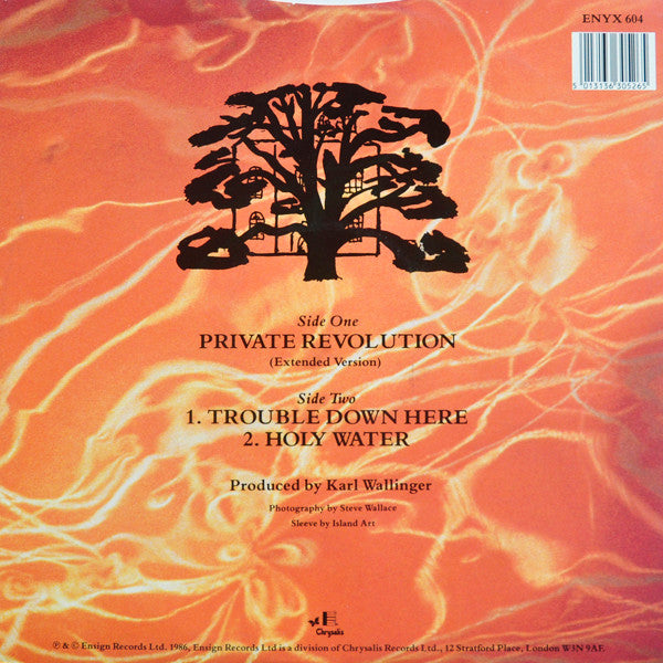 Private Revolution