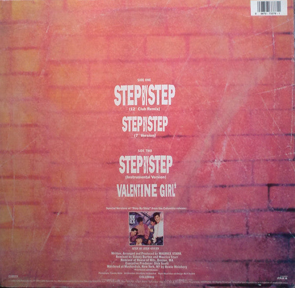 Release: Step By Step-Vinyl-US-1990-44 73376-9204719