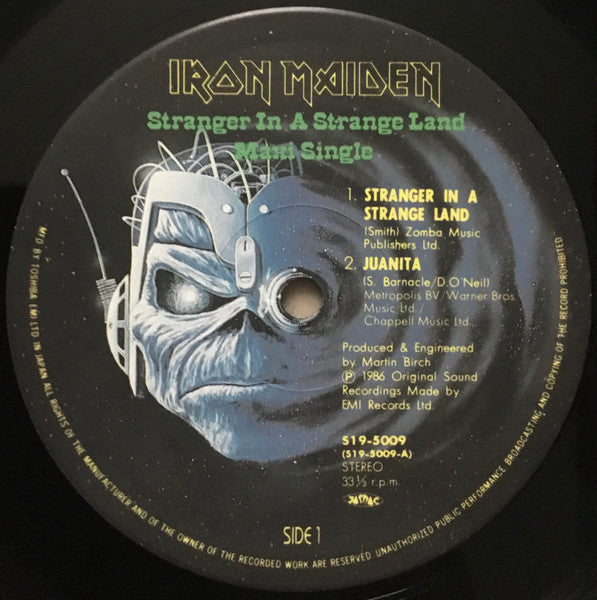 Stranger In A Strange Land