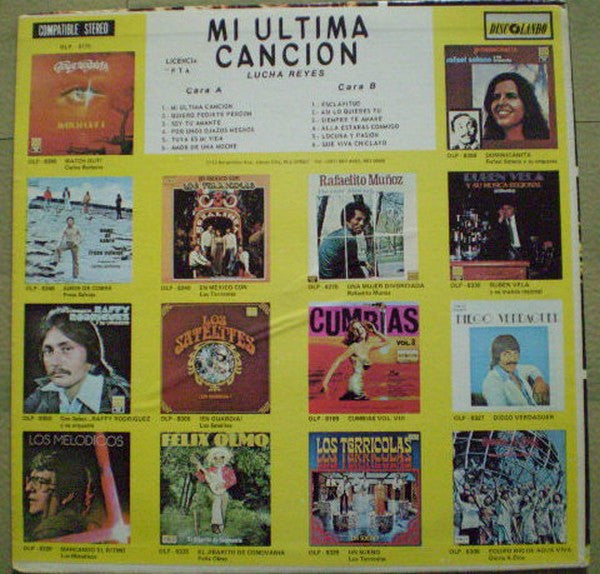 Mi Ultima Cancion