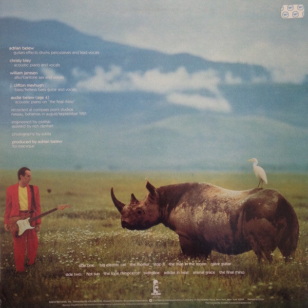 Lone Rhino