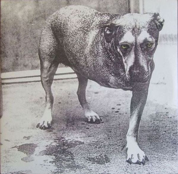 Master Release: Alice In Chains by Alice In Chains