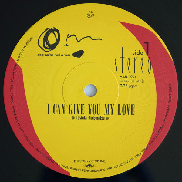 I Can Give You My Love