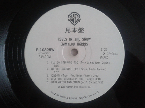 Roses In The Snow