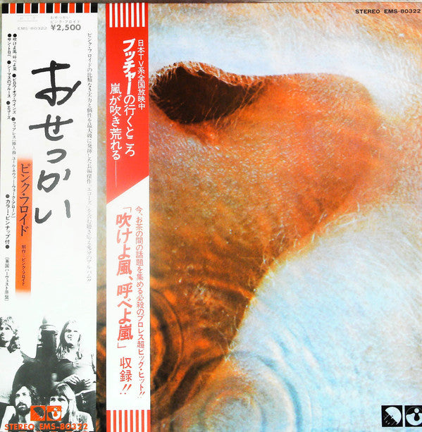 Meddle
