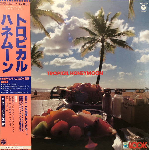 Release: Unknown Release-Vinyl-Japan-1983-YZ-172-N-14197429
