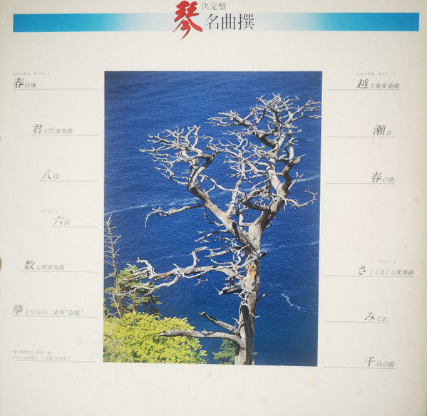 箏 名曲撰
