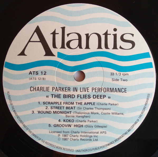 The Bird Flies Deep