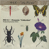 Psy . S - Collection (Vinyl, LP, Album) Near Mint (NM or M-) / Near Mint (NM or M-)
