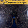 LA4 - Pavane Pour Une Infante Défunte (Vinyl, LP, Album, Reissue) Very Good Plus (VG+) / Very Good Plus (VG+)