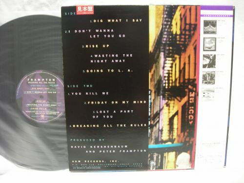Release: Breaking All The Rules-Vinyl-Japan-1981-AMP-28032-9444155