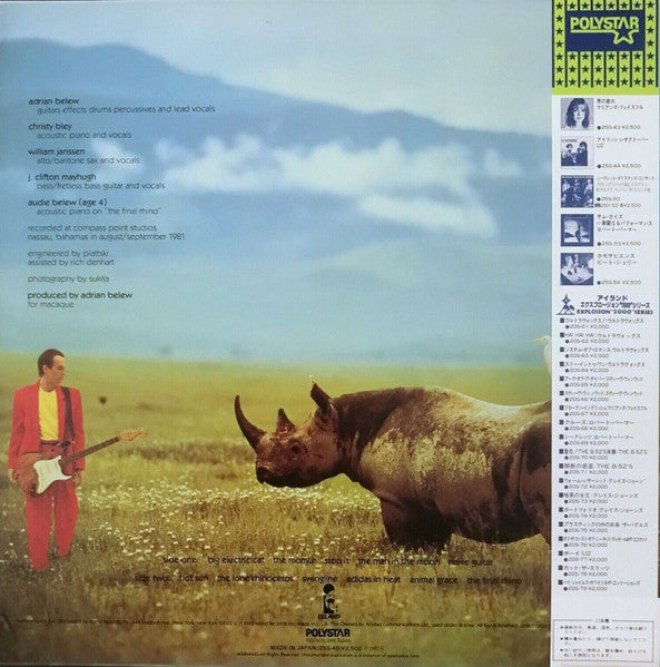 Lone Rhino