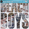 The Beach Boys - The Beach Boys = ザ・ビーチ・ボーイズ (Vinyl, LP, Album) Very Good (VG) / Very Good (VG)