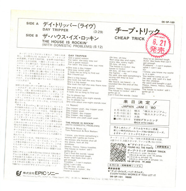 デイ・トリッパー = Day Tripper