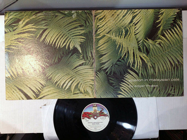 Master Release: Epsilon In Malaysian Pale by Edgar Froese