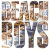 The Beach Boys - The Beach Boys (Vinyl, LP, Album) Very Good (VG) / Very Good (VG)