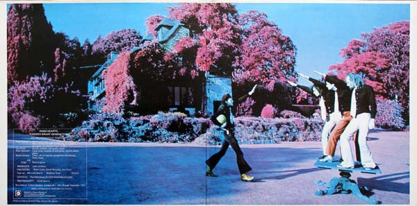 Release: Pawn Hearts-Vinyl-UK-None-CAS 1051-1744244