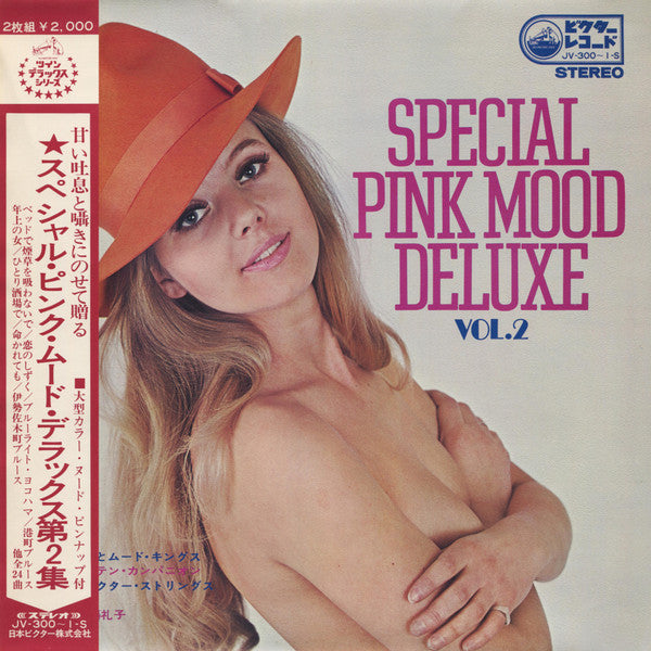 Special Pink Mood Deluxe Vol.2 = スペシャル・ピンク・ムード・デラックス 第2集
