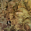 Dave Mason - Alone Together (Vinyl, LP, Album) Very Good Plus (VG+) / Very Good Plus (VG+)